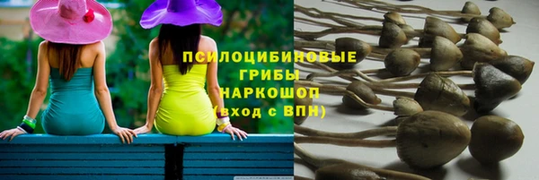 ALPHA PVP Медвежьегорск